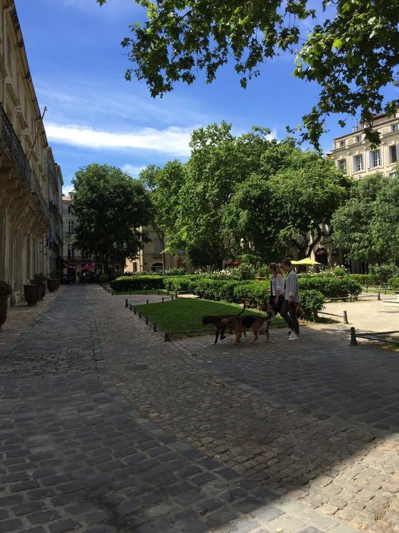 Appartement Vieille Intendance Montpellier Kültér fotó