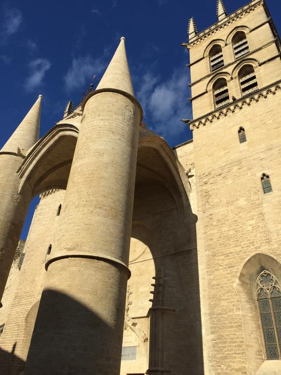Appartement Vieille Intendance Montpellier Szoba fotó